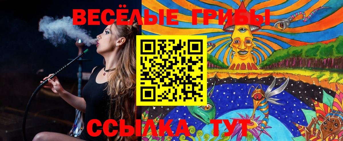 Железноводск  Галлюциногенные грибы Psilocybe  Галлюциногенные грибы Psilocybine cubensis  Вход с VPN 